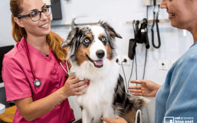 Periodontal Disease Doesn’t Wait – Top Tips on Improving Your Veterinary Client Compliance Part 2